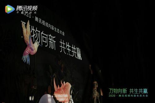 辰飞爆料中的视频,精彩瞬间一网打尽 第1张 辰飞爆料中的视频,精彩瞬间一网打尽 第1张