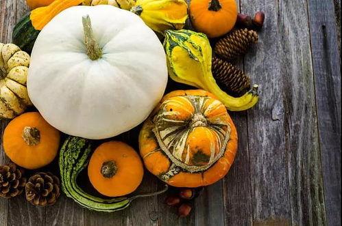 娱乐吃瓜养生,吃瓜养生两不误  第3张