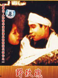 情挑野玫瑰在线观看,浪漫邂逅，激情燃烧的野性之旅  第1张