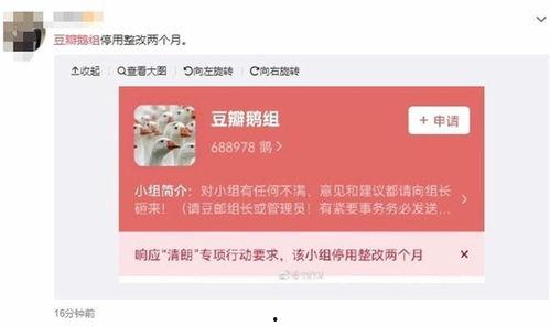 西瓜条八卦爆料视频,揭秘热门视频背后的惊人真相  第1张